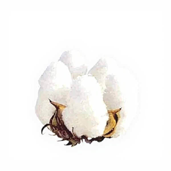 Affiche sur toile Kenzo Okada Rouge Et Orange décor salon