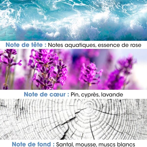 Parfum Homme Acqua Eau de toilette Jeanne en Provence 100 ml