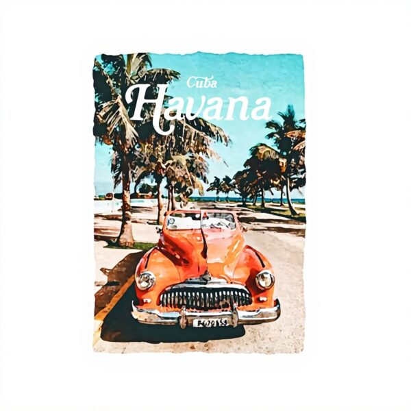 T-shirt oversize Mister Tee Havana Vibe unisexe confortable