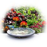 Image du produit suivant