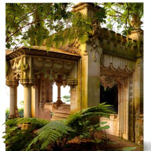 Circum-Disc Disque Compact Dimensions 13 97 cm Qualité Audio-0