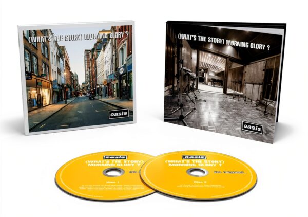 Pavo Monitor Arm Ergonomic Aluminum Desk Mount for