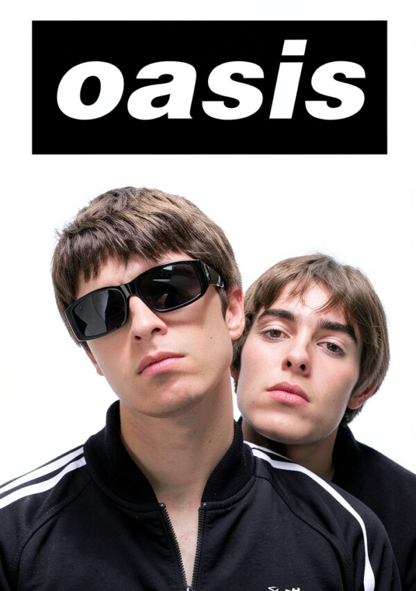 Pavo Monitor Arm Ergonomic Aluminum Desk Mount for