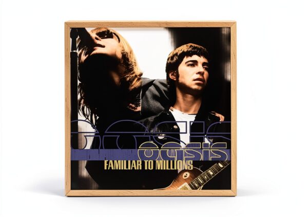 Pavo Monitor Arm Ergonomic Aluminum Desk Mount for