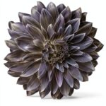 blackstone careers
